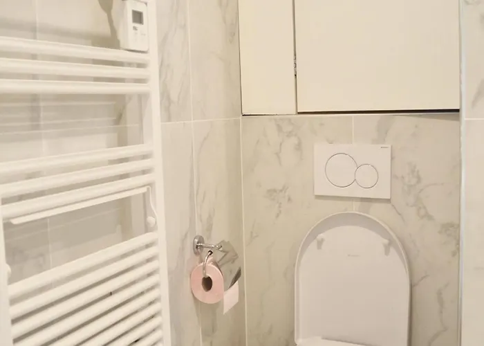 T2 Centre 아파트 칸느